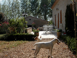 Zu vermieten Ferienhaus im Lot et Garonne