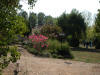 Mein Garten