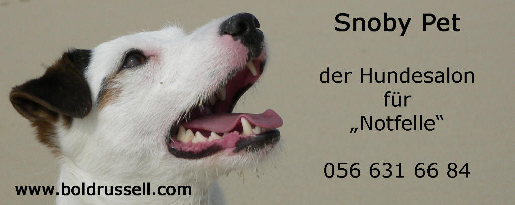 Hundesalon Snoby Pet